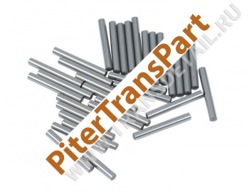 Pinion roller  (34880-02)