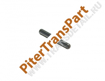 Pinion roller  (34875-02)
