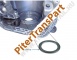 Case repair bearing  (22556-BRG)